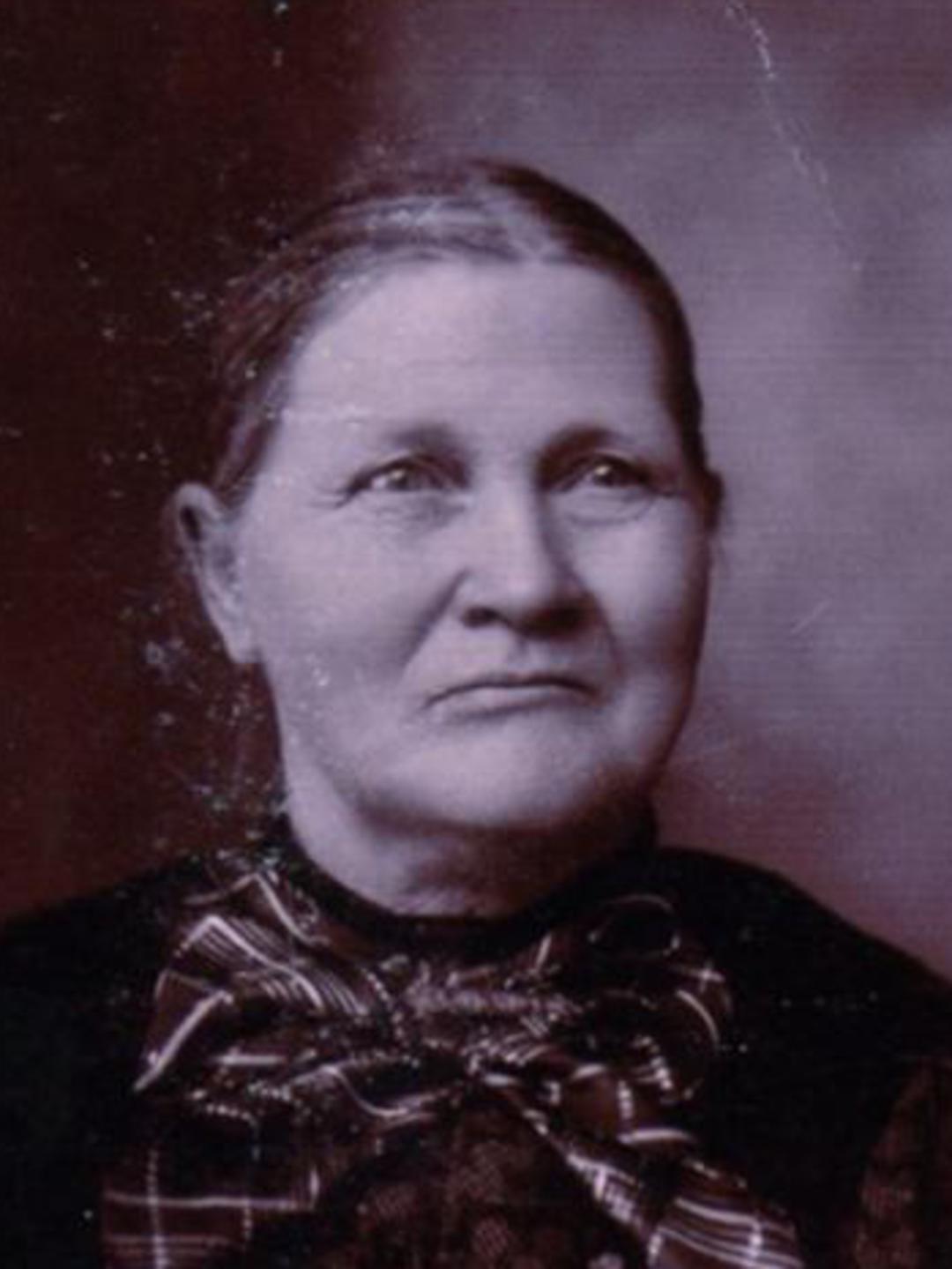 Mary Elizabeth Wardrop (1832 - 1907) Profile